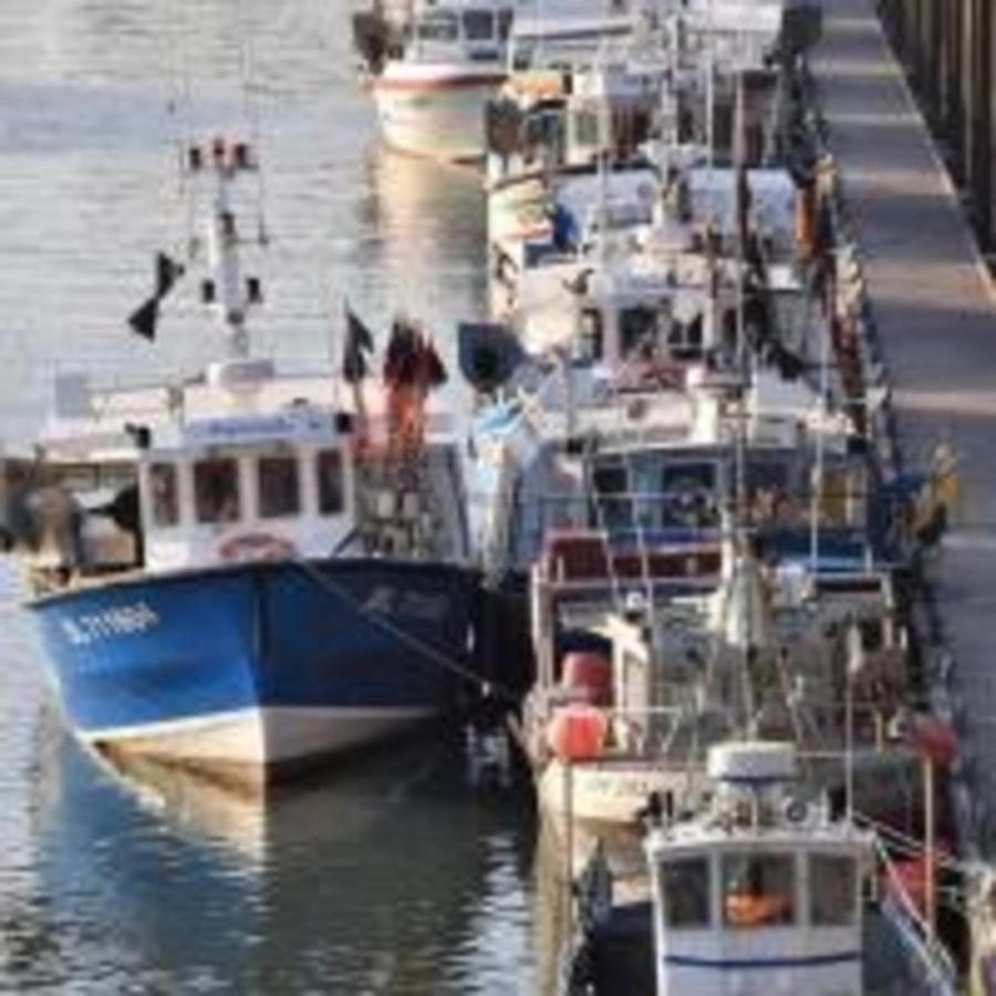 Meuble 4 Etoiles, A 2Mn De Nausicaa, Vue Sur Port Et Mer Boulogne-sur-Mer Dış mekan fotoğraf